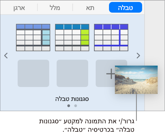 גרירת תמונה לסגנונות הטבלה כדי ליצור סגנון חדש.