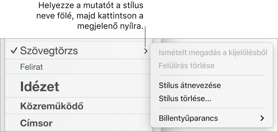 A Bekezdésstílusok menü a megnyitott helyi menüvel.