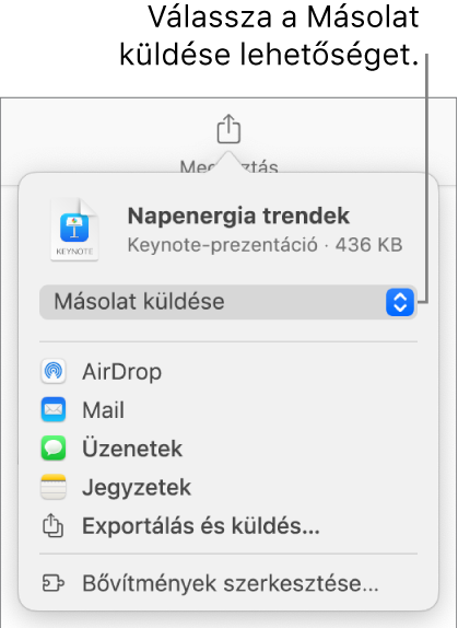 A Megosztás menü a felül elhelyezkedő Másolat küldése lehetőséggel.