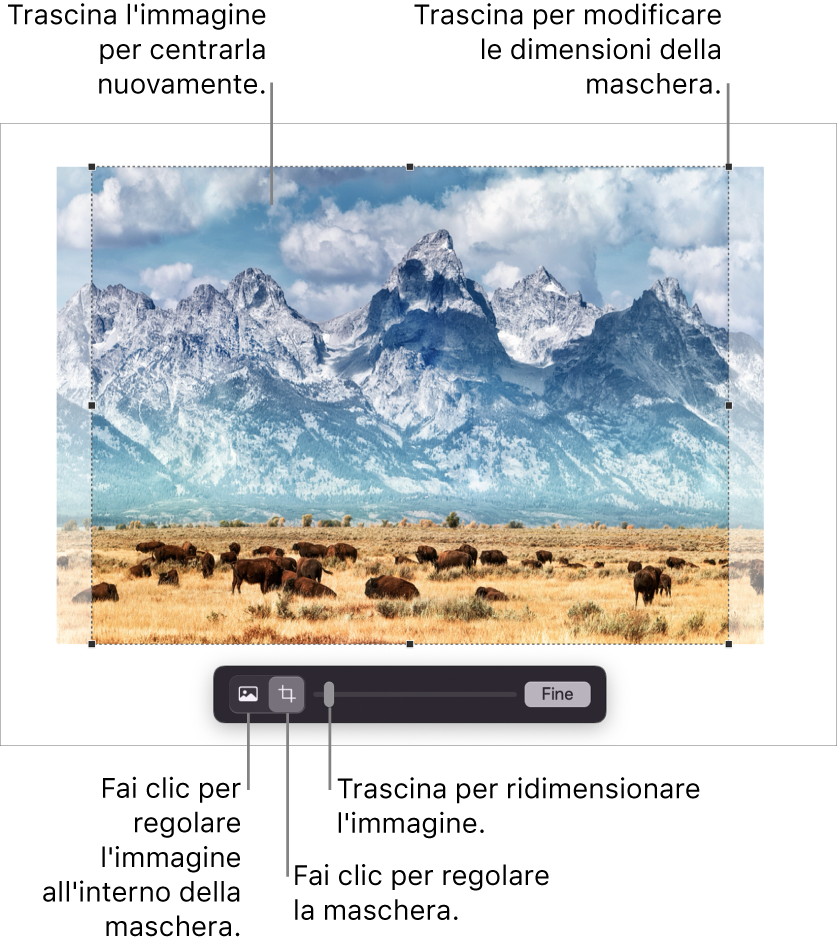 Controlli della maschera su una foto.