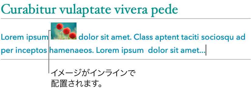 イメージ。テキストと共にインラインで配置された状態。