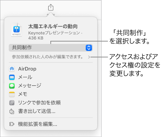 「共有」メニュー。上部の「共同制作」が選択されていて、下に参加対象とアクセス権の設定があります。