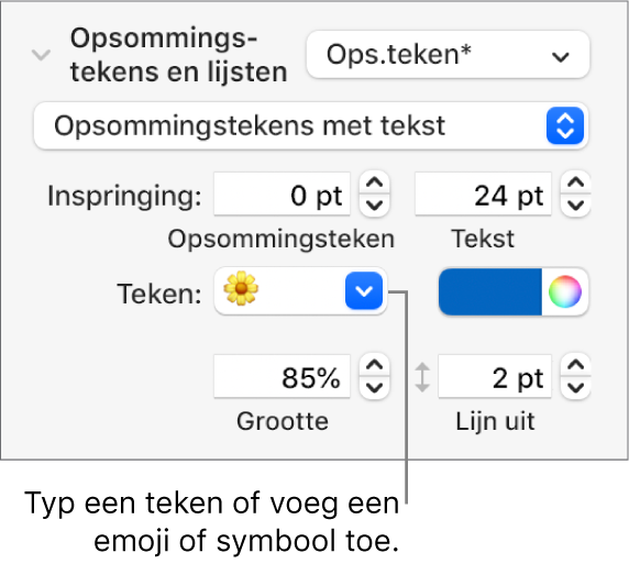 Het gedeelte 'Opsommingstekens en lijsten' in de navigatiekolom 'Opmaak'. In het veld 'Teken' staat een emoji van een bloem.