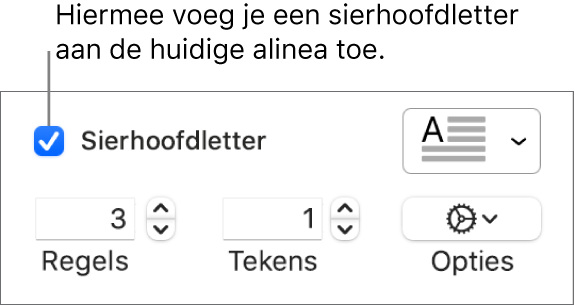 Het aankruisvak 'Sierhoofdletter' is ingeschakeld en rechts ervan staat een venstermenu. Eronder staan regelaars voor het instellen van de regelhoogte, het aantal tekens en andere opties.