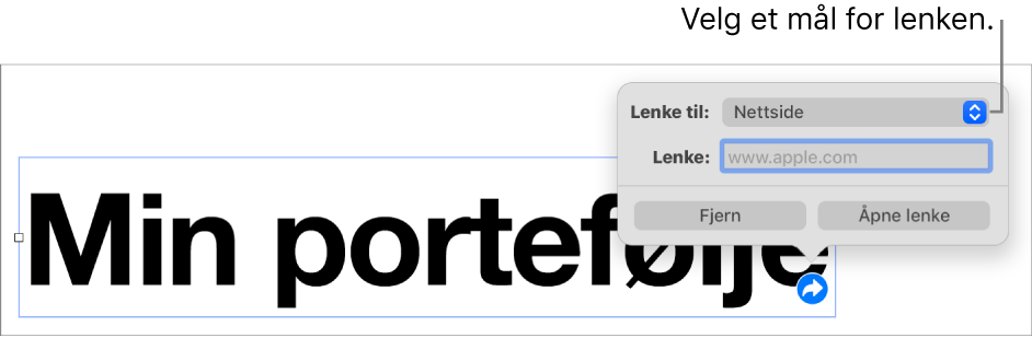 Lenkeredigerer-kontrollene med Nettside markert, og Fjerne lenke- og Åpne lenke-knappene nederst.