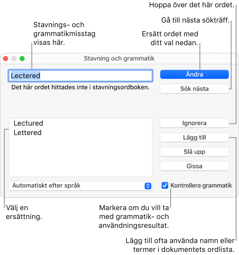 Fönstret Stavning och grammatik.