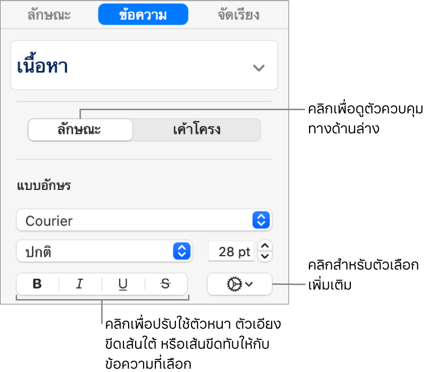 ตัวควบคุมลักษณะในแถบด้านข้างพร้อมคำอธิบายปุ่มตัวหนา ตัวเอียง ขีดเส้นใต้ และขีดทับ