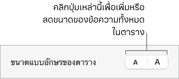 ตัวควบคุมในแถบด้านข้างสำหรับเปลี่ยนขนาดแบบอักษรของตาราง