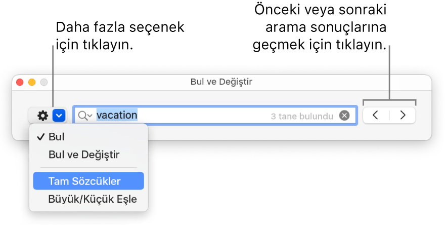Bul ve Değiştir penceresi; Bul, Bul ve Değiştir, Tam Sözcükler ve Büyük/Küçük Eşle seçeneklerini gösteren açılır menüyü içerir. Sağ taraftaki oklar, önceki veya sonraki arama sonuçlarına gitmenizi sağlar.