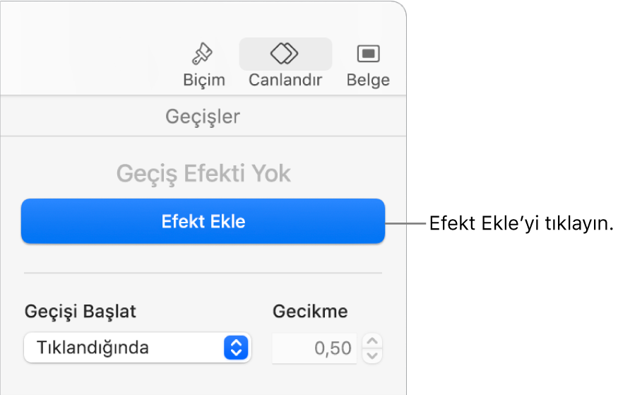 Kenar çubuğunun Canlandırma bölümündeki Efekt Ekle düğmesi.