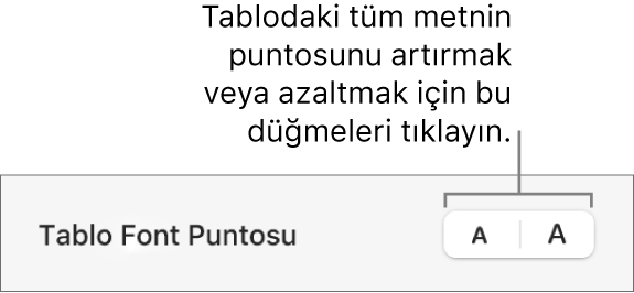 Tablonun font puntosunu değiştirmeye yönelik kenar çubuğu denetimleri.