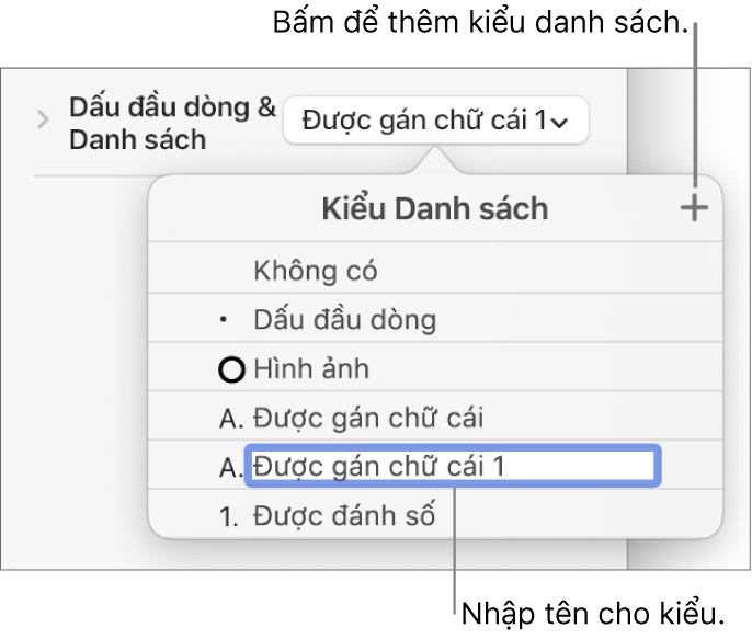 Menu bật lên Kiểu danh sách có nút Thêm ở góc trên cùng bên phải và tên kiểu giữ chỗ với văn bản được chọn.