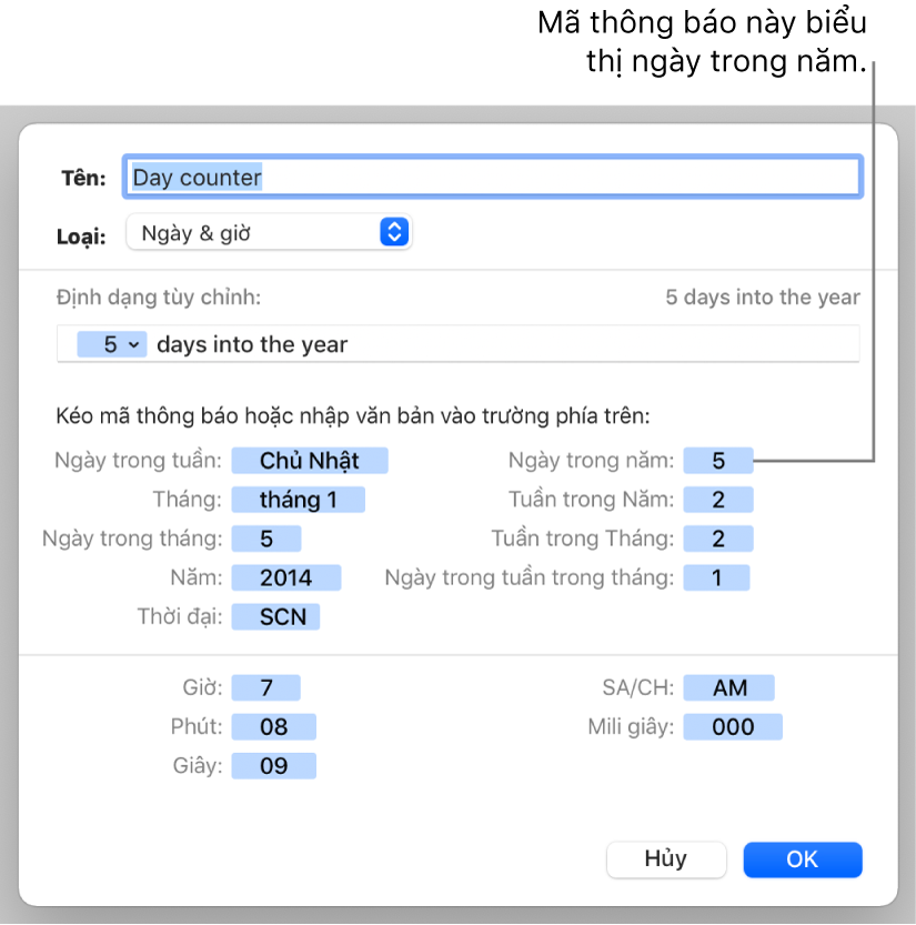 Cửa sổ định dạng ô tùy chỉnh với các điều khiển để tạo định dạng ngày và giờ tùy chỉnh.