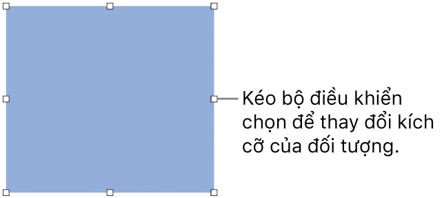 Đối tượng có hình vuông màu trắng trên đường viền để thay đổi kích cỡ của đối tượng.