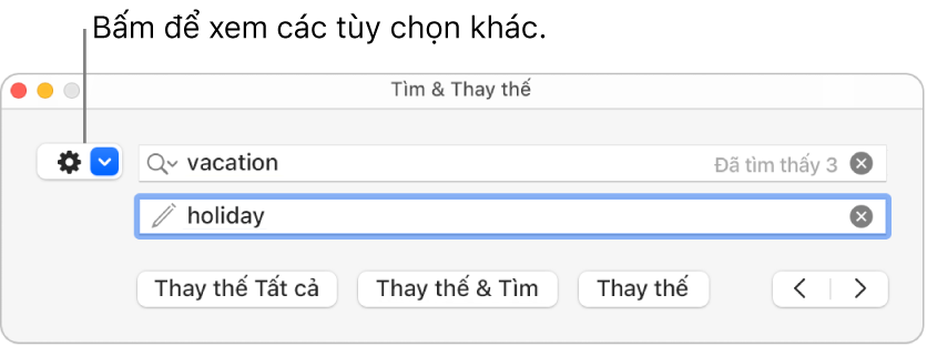 Cửa sổ Tìm & Thay thế có chú thích đến menu bật lên hiển thị thêm tùy chọn.