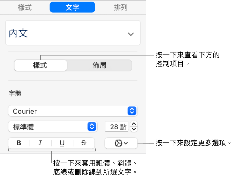 側邊欄中帶有說明文字（如「粗體」、「斜體」、「底線」和「刪除線」按鈕）的「樣式」控制項目。