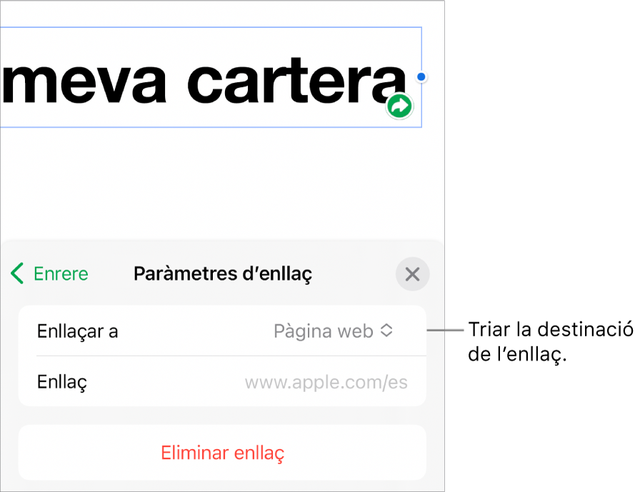 Controls “Paràmetres d’enllaç” amb l’opció “Pàgina web” seleccionada i el botó “Eliminar enllaç” situat a la part inferior.