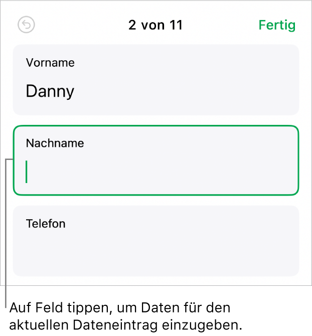 Ein Datensatz in einem Formular mit einem aktiven Feld und einer Einfügemarke.