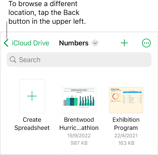 The browse view of the spreadsheet manager with a location link in the top-left corner and below it a Search field. In the top-right corner are the Add a Spreadsheet button and the More button. At the bottom of the screen are a Recent button and Browse button.