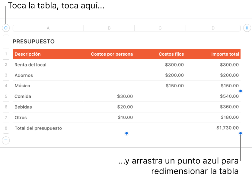 Una tabla seleccionada con puntos azules para redimensionarla.