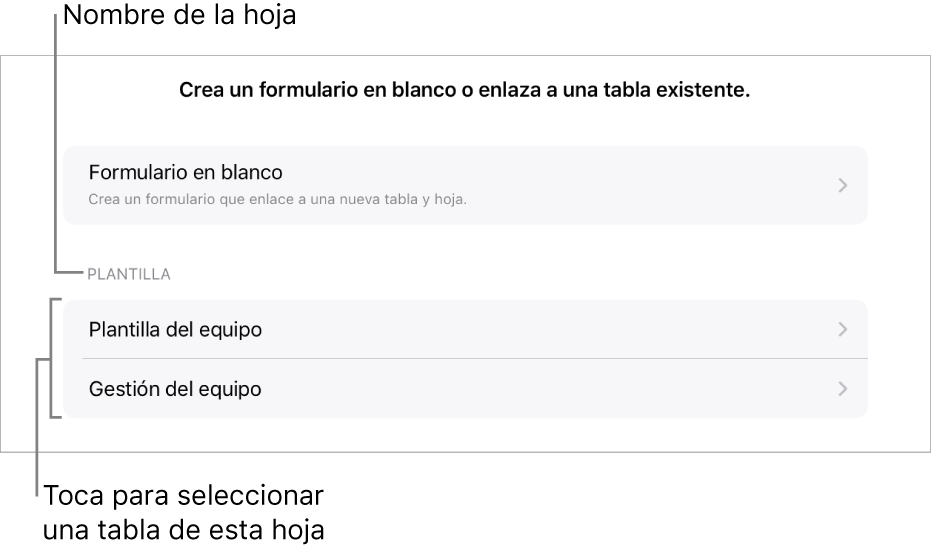 Una lista de tablas pertenecientes a la misma hoja de cálculo, con la opción de crear un formulario en blanco en la parte superior.