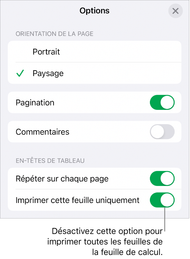 Options d’impression permettant de choisir l’orientation de la page, d’afficher les numéros de page et les en-têtes, et de choisir le format du papier et les pages à imprimer.