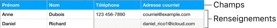 Tableau correctement configuré pour être utilisé avec des formulaires, avec une rangée d’en-tête contenant les étiquettes de champ et une liste de fiches affichant les coordonnées des membres d’une équipe de sport.