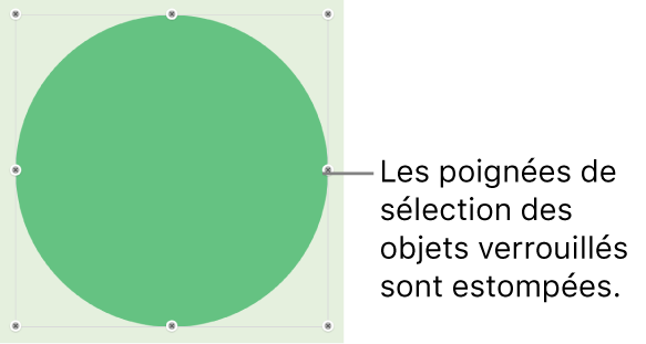 Un objet verrouillé présentant des poignées de sélection estompées.