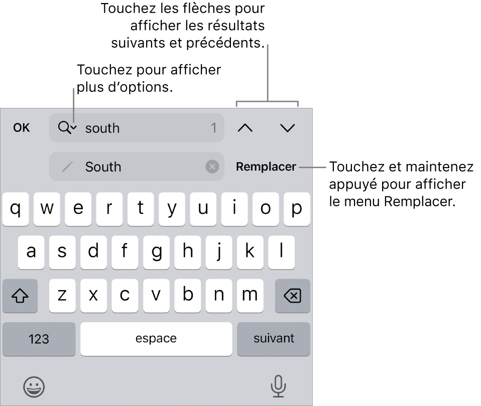 Les commandes de Rechercher et remplacer au-dessus du clavier avec des légendes pour les boutons Options de recherche, Remplacer, Monter et Descendre.