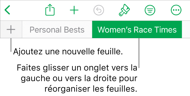 Barre des onglets pour ajouter une feuille, naviguer et réorganiser les feuilles.