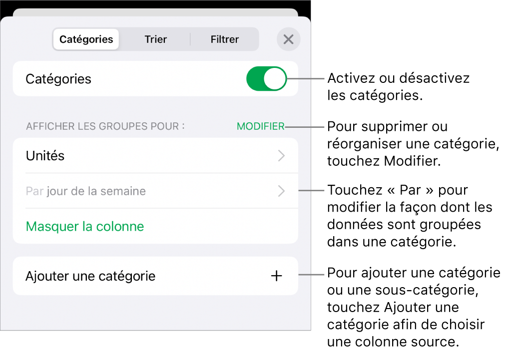 Le menu catégories pour iPhone, avec des options permettant de désactiver les catégories, supprimer des catégories, regrouper des données, masquer une colonne source et ajouter des catégories.