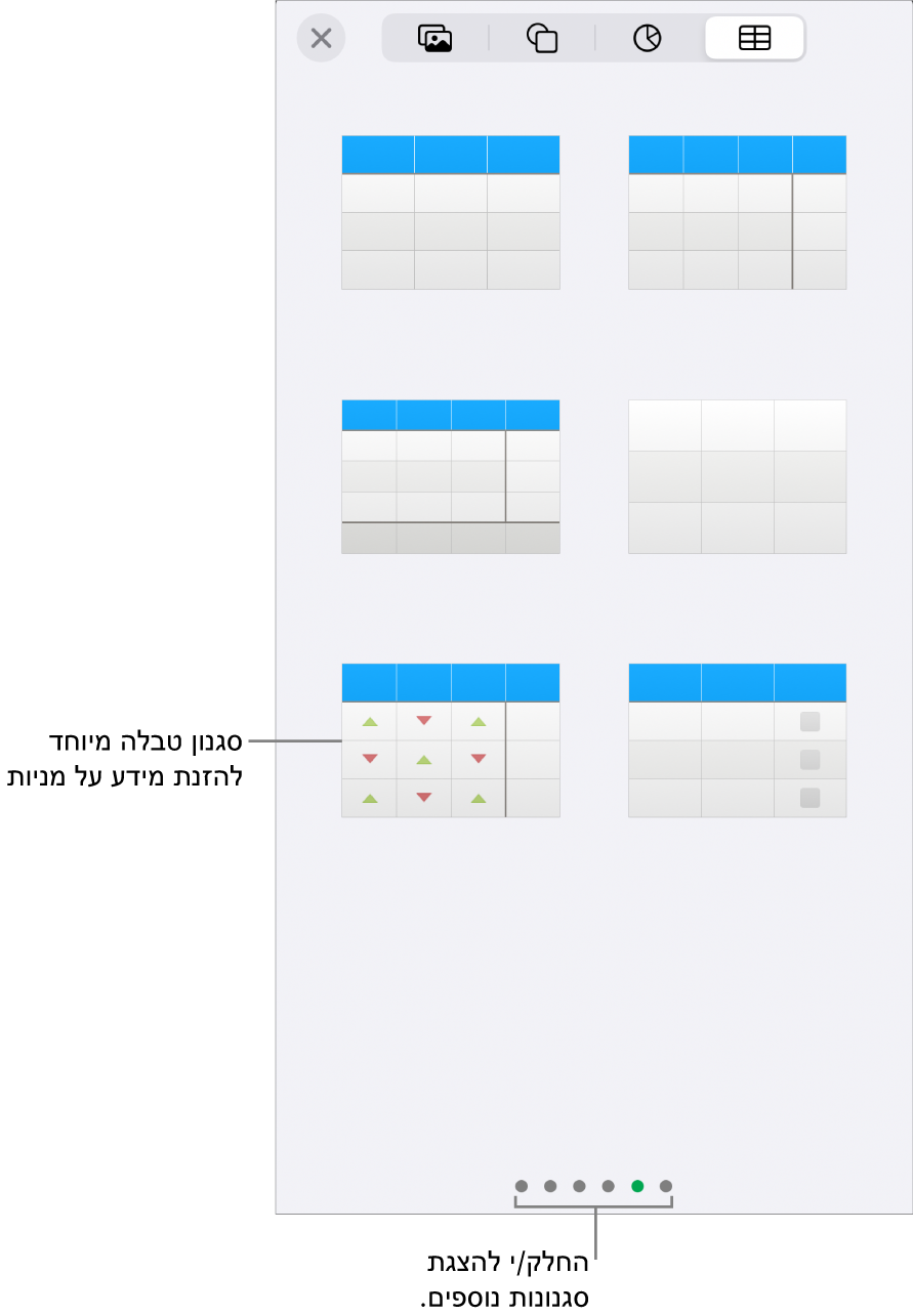תמונות ממוזערות של סגנונות הטבלה הזמינים, עם סגנון מיוחד להזנת פרטי מניות בפינה הימנית התחתונה. שש הנקודות בתחתית מציינות שניתן להחליק כדי לראות סגנונות נוספים.
