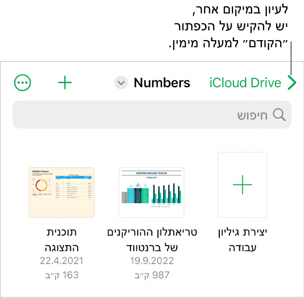 מנהל גיליונות העבודה ל-iPhone.