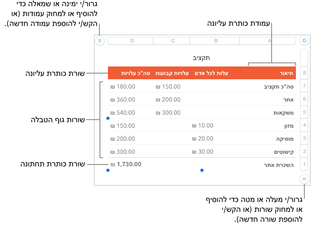 טבלה עם שורות ועמודות כותרת עליונה, גוף טבלה וכותרת תחתונה ועם ידיות אחיזה להוספה או מחיקה של שורות או עמודות.