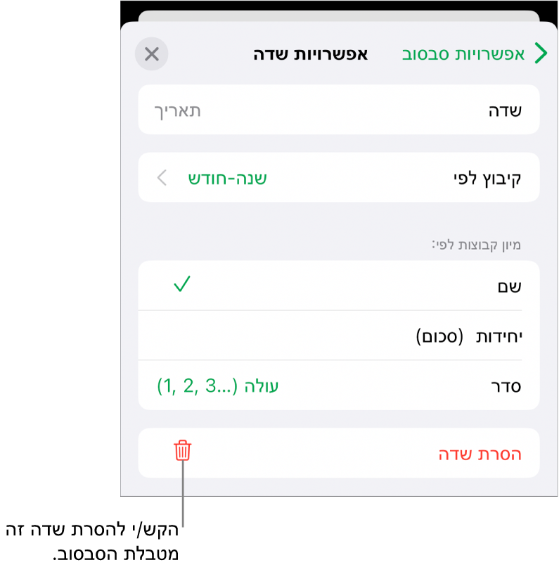 התפריט ״אפשרויות שדה״, שבו מוצגים פקדים לקיבוץ ומיון של נתונים, וכן האפשרות להסיר שדה.