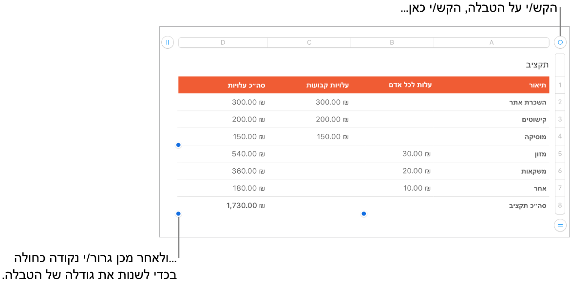 טבלה שנבחרה, עם נקודות כחולות לשינוי גודל.