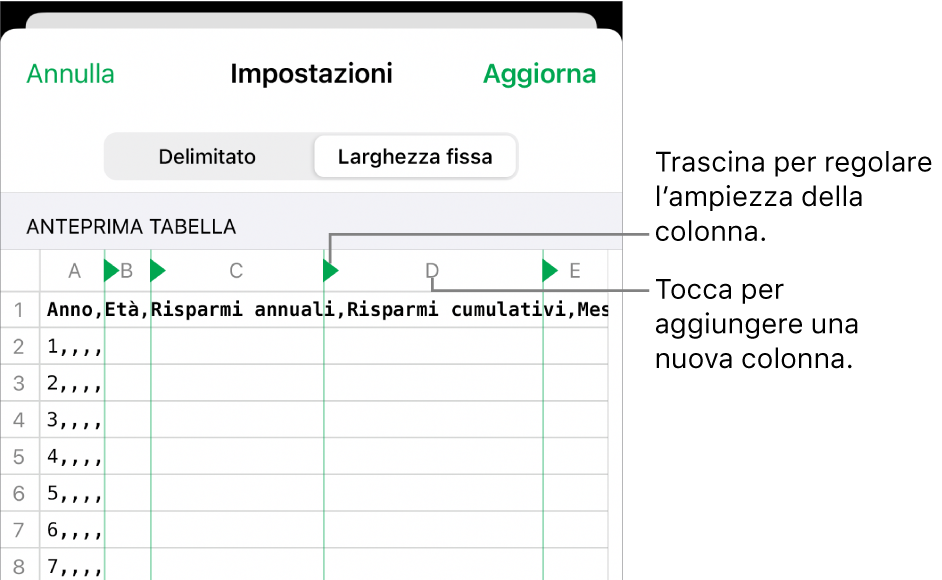 Impostazioni di importazione per un file di testo a larghezza fissa.