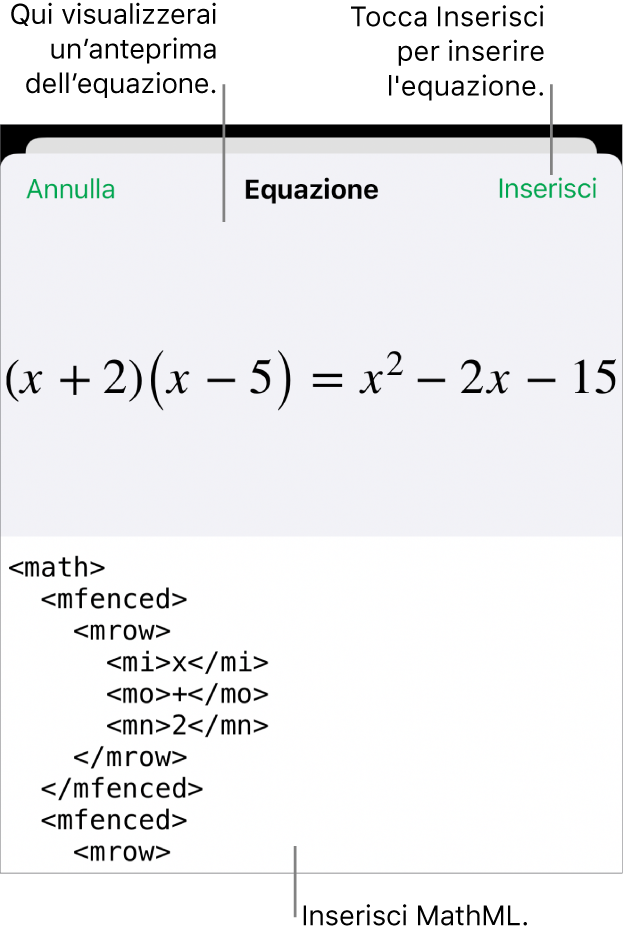 La finestra di dialogo Equazione che mostra l'equazione scritta tramite comandi MathML e un'anteprima della formula di cui sopra.