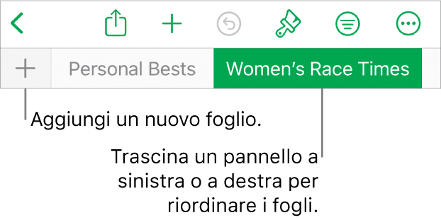 Barra dei pannelli per aggiungere un nuovo foglio, navigare, riordinare e riorganizzare i fogli.