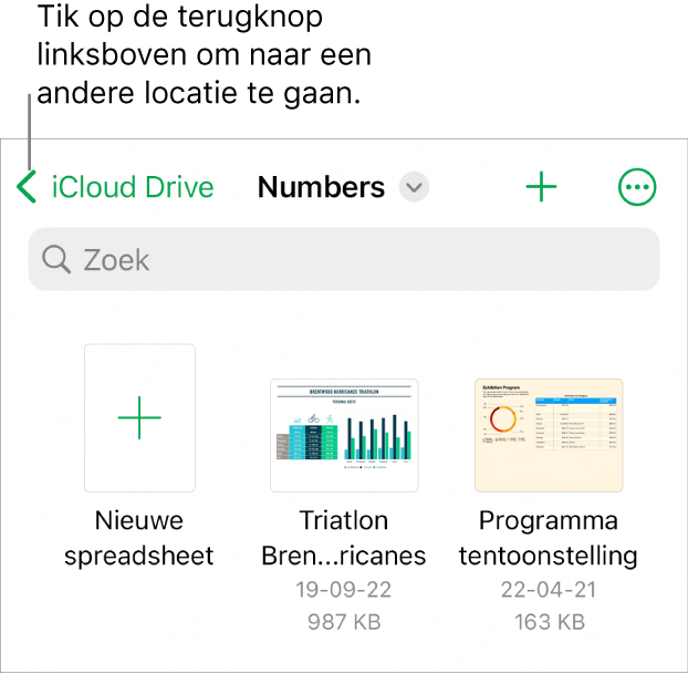 De bladerweergave van de spreadsheetweergave met linksboven een link naar andere locaties en daaronder een zoekveld. Rechtsboven staan de knop voor een nieuwe spreadsheet en de knop 'Meer'. Onder in het scherm staan de knoppen 'Recent' en 'Blader'.