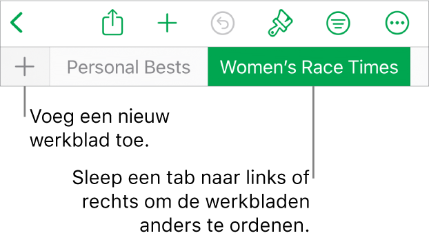 De tabbladbalk voor het toevoegen van een nieuw werkblad, navigeren en het opnieuw ordenen van werkbladen.