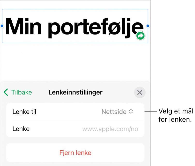 Lenkeinnstillinger-kontrollene med Nettside markert, og Fjern lenke-knappen nederst.