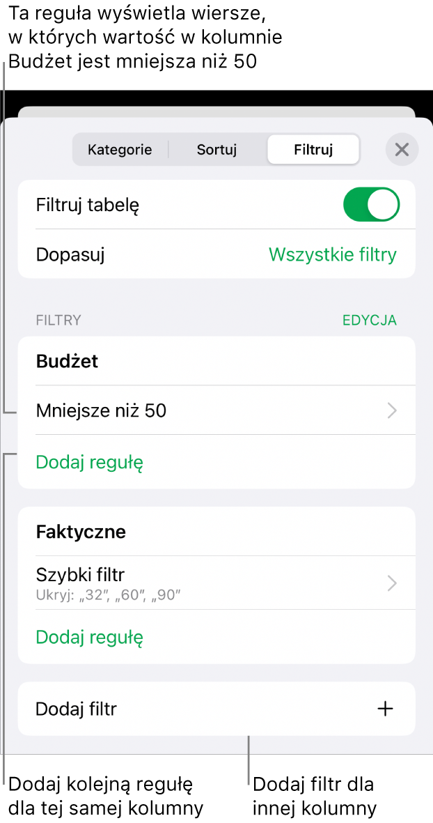 Narzędzia do dodawania nowych reguł filtrowania lub edycji istniejących.