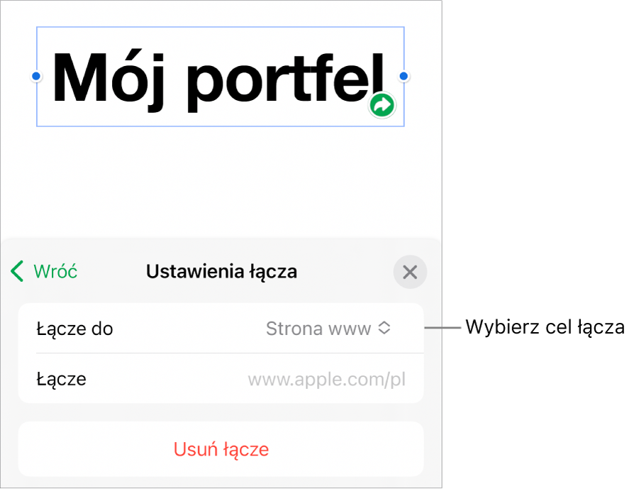 Narzędzia ustawień łącza; wybrane jest narzędzie Strona www; na dole znajduje się przycisk Usuń łącze.