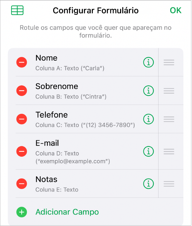 Controles de configuração de forma, mostrando opções para adicionar, editar, reordenar e apagar campos, além de alterar o formato dos campos (como de Texto para Porcentagem).