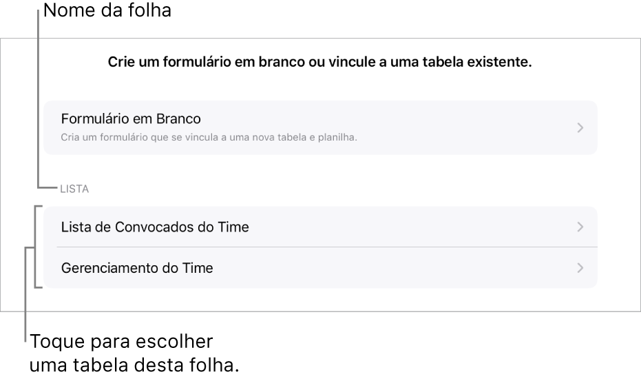 Uma lista de tabelas que estão na mesma planilha, com a opção de criar um formulário em branco na parte superior.