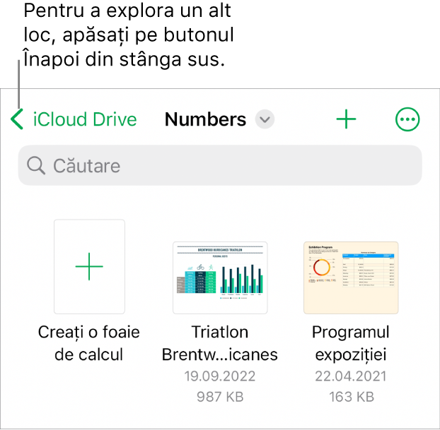 Vizualizarea de explorare a gestionarului de foi de calcul cu butonul Înapoi în colțul din stânga sus și sub acesta un câmp Căutare. Sub câmpul de căutare se află un buton Creați o foaie de calcul lângă miniaturile foilor de calcul existente. În colțul din dreapta sus se află butonul Adăugați și butonul Altele.