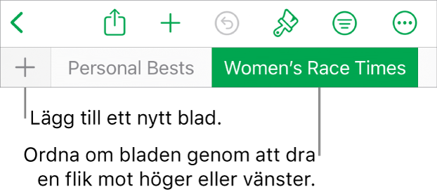 Flikfältet för att lägga till ett nytt blad, navigera, ändra ordning på och arrangera om blad.