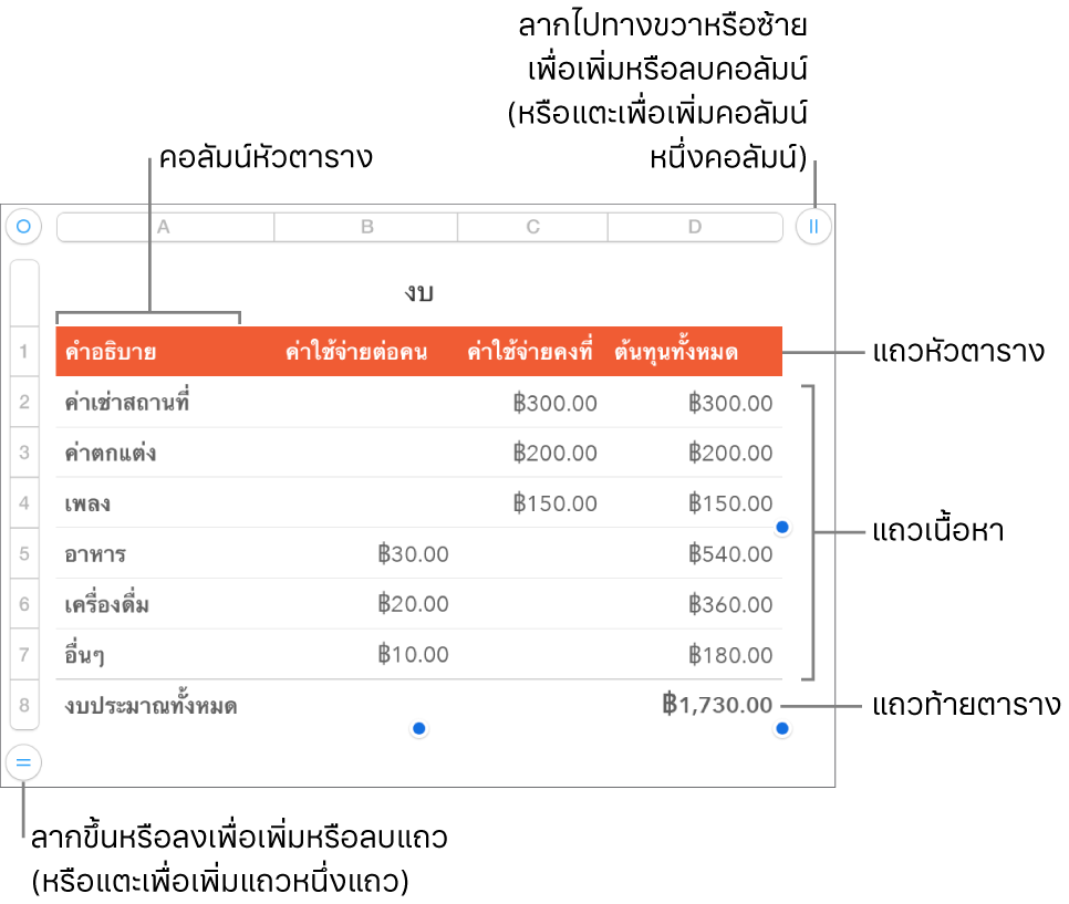 ตารางที่แสดงแถวและคอลัมน์หัวตาราง ตัวตาราง และท้ายตาราง และขอบจับเพื่อเพิ่มหรือลบแถวหรือคอลัมน์