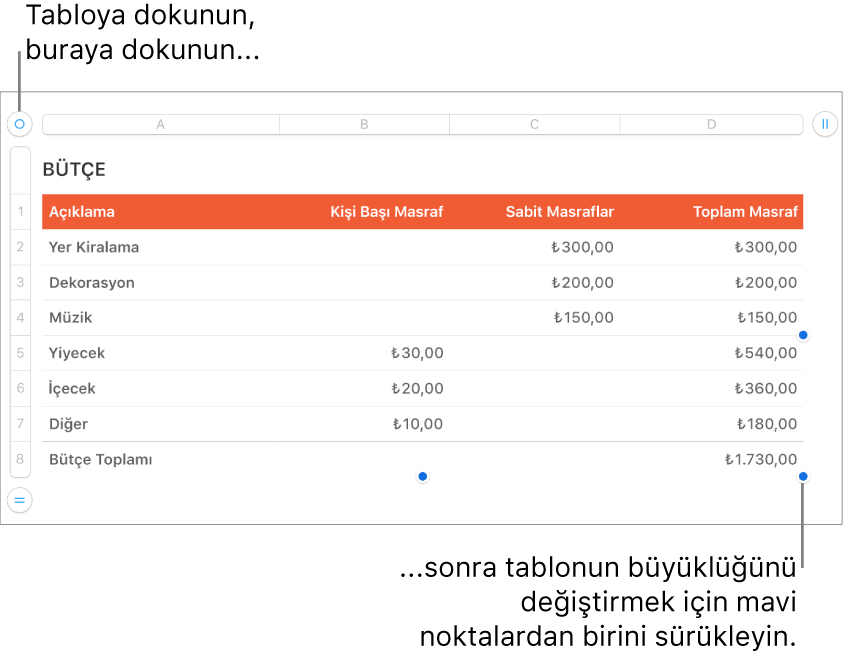 Yeniden boyutlandırma için mavi noktaları bulunan seçili bir tablo.